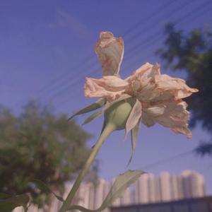 美女粉逼扒开让我操
